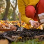 Autumn Gardening Sowing and Growing Plants