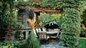 Enhancing Your Outdoor Space with Great Garden Plants